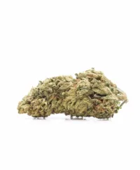 flor cbd hemp cannabis ecuador quito titan